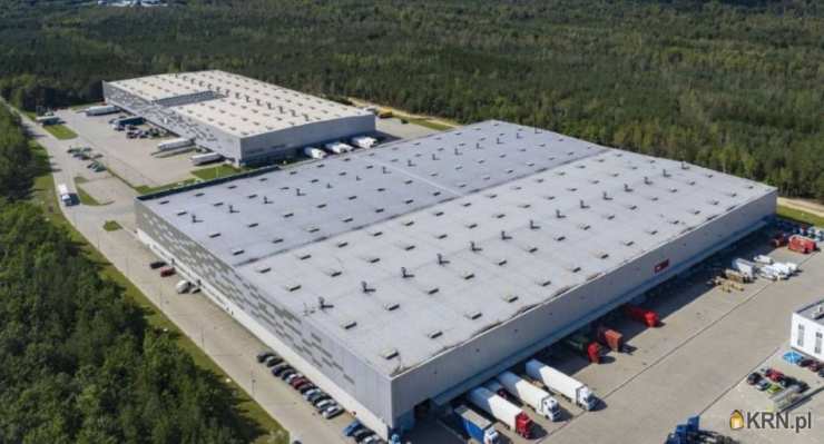 Lokal użytkowy  do wynajęcia, Sosnowiec, ul. , 