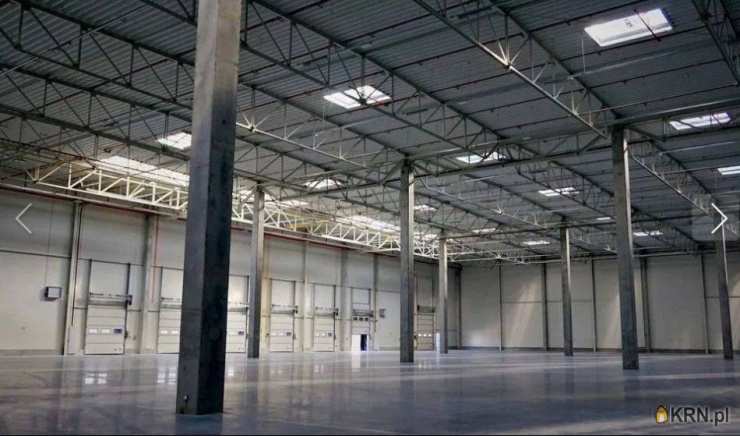 Lokal użytkowy  do wynajęcia, , Sosnowiec, ul. 