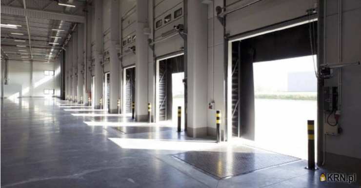 Sosnowiec, ul. , Lokal użytkowy  do wynajęcia, 