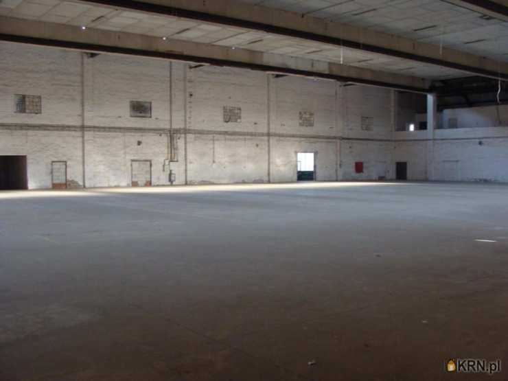 Lokal użytkowy  do wynajęcia, Legnica, ul. , 1 pokojowe