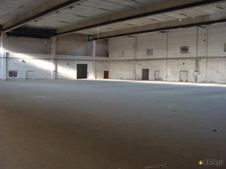 Legnica, ul. , Lokal użytkowy  do wynajęcia, 1 pokojowe