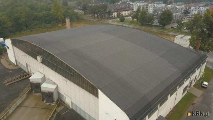 1 pokojowe, Lokal użytkowy  do wynajęcia, Legnica, ul. 