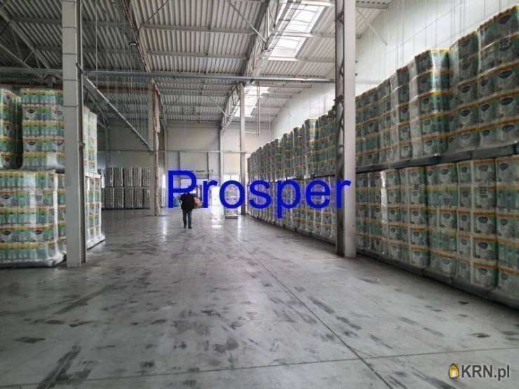 Lokal użytkowy  na sprzedaż, , Olkusz, ul. 