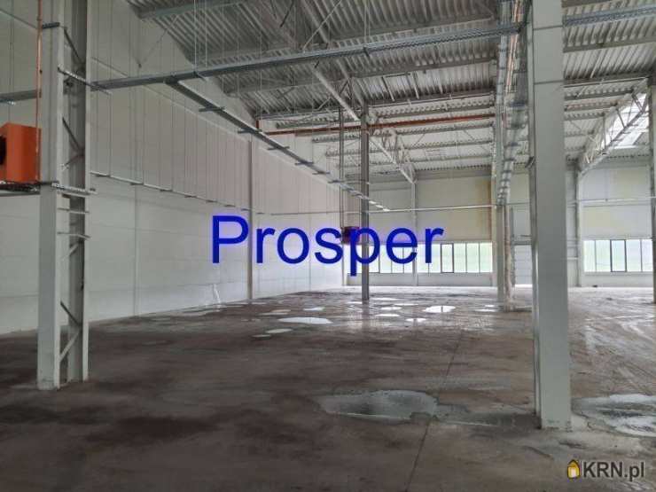 Olkusz, ul. , Lokal użytkowy  na sprzedaż, 