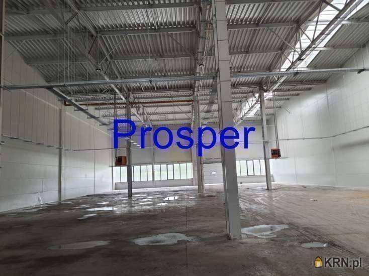 , Olkusz, ul. , Lokal użytkowy  na sprzedaż