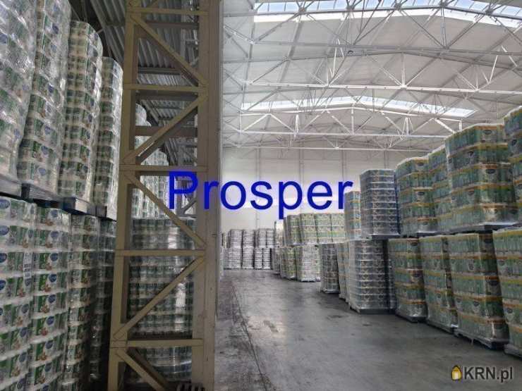 Lokal użytkowy  na sprzedaż, Olkusz, ul. , 