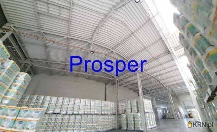 Olkusz, ul. , , Lokal użytkowy  na sprzedaż