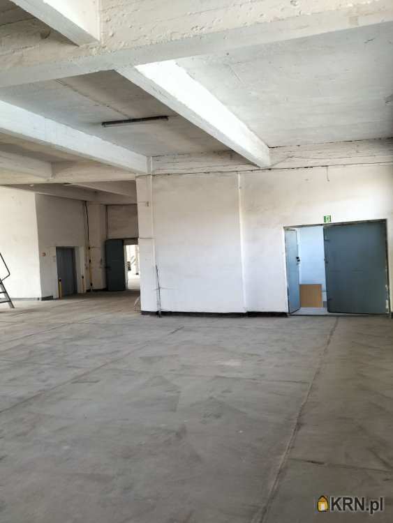 Lokal użytkowy  do wynajęcia, Sosnowiec, Pogoń, ul. Ptasia, 