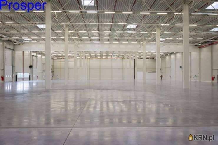 Lokal użytkowy  do wynajęcia, Dąbrowa Górnicza, ul. , 