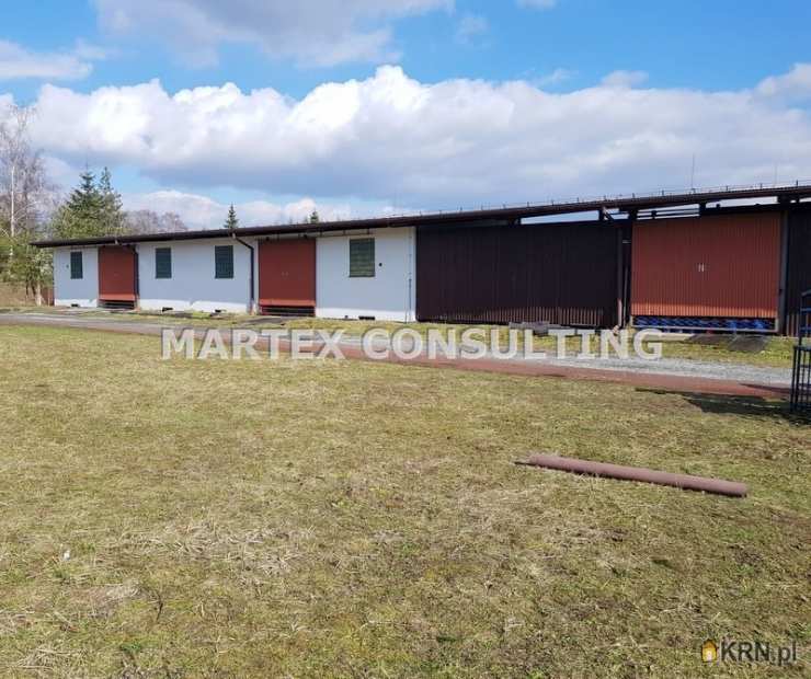 Wodzisław Śląski, ul. , Lokal użytkowy  na sprzedaż, 