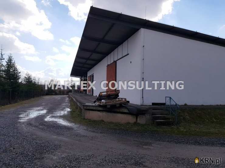 , Wodzisław Śląski, ul. , Lokal użytkowy  na sprzedaż