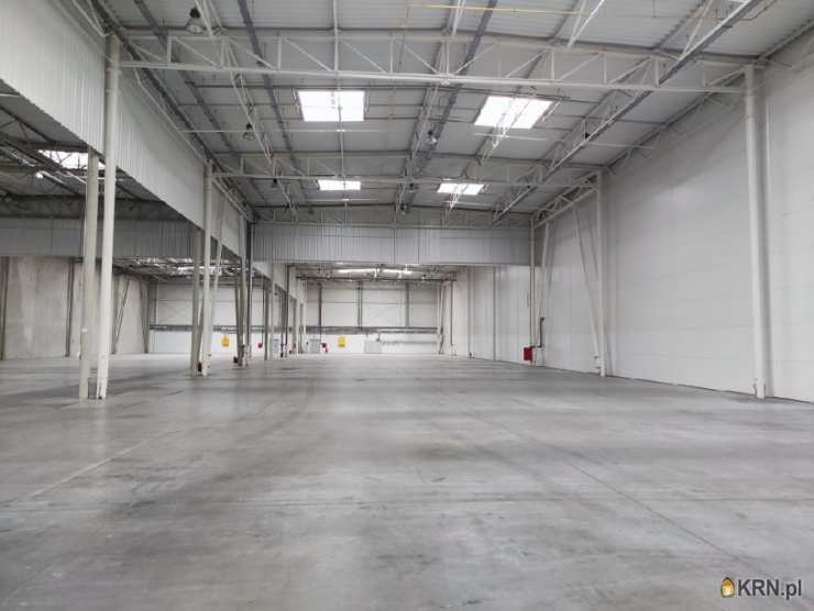 Lokal użytkowy  do wynajęcia, , Bydgoszcz, ul. 