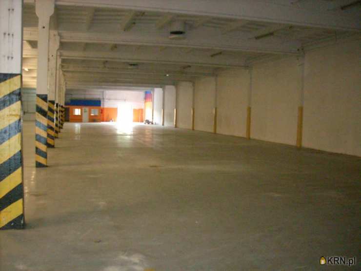, Lokal użytkowy  do wynajęcia, Radom, ul. Chorzowska