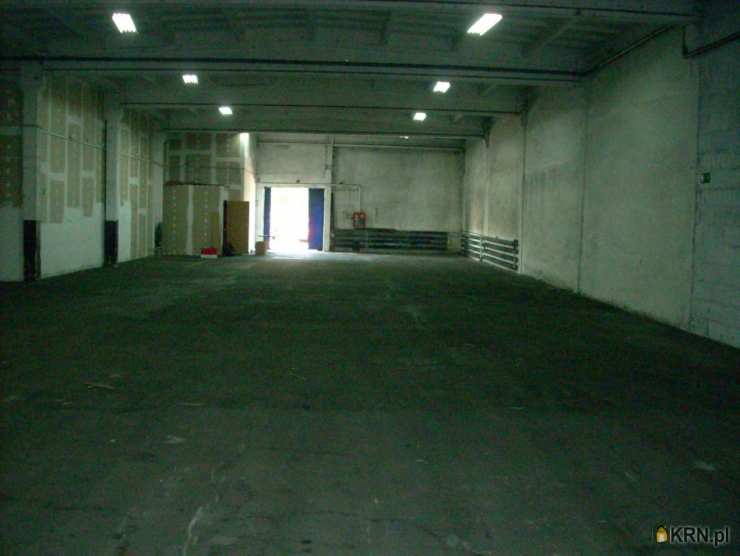 Lokal użytkowy  do wynajęcia, Radom, ul. Chorzowska, 