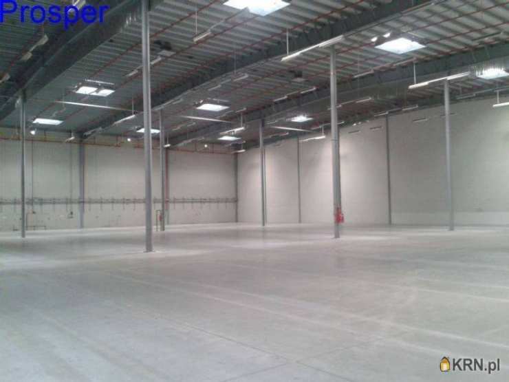 Lokal użytkowy  do wynajęcia, , Mysłowice, ul. 