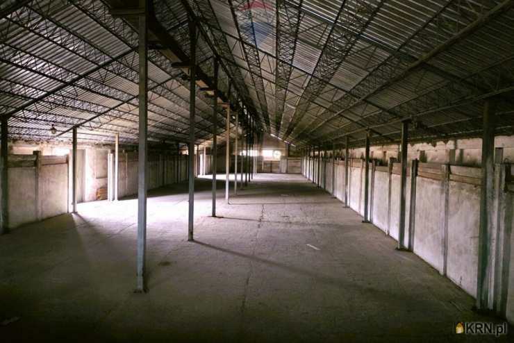 , Lokal użytkowy  na sprzedaż, Barciany, ul. 