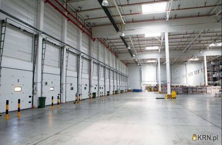 Lokal użytkowy  do wynajęcia, Mysłowice, ul. , 