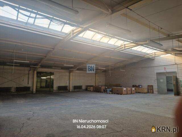 Lokal użytkowy  do wynajęcia, , Krapkowice, ul. 