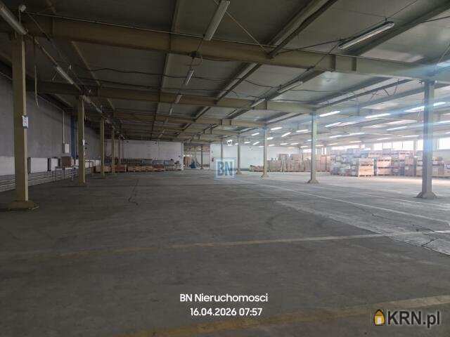 Krapkowice, ul. , Lokal użytkowy  do wynajęcia, 