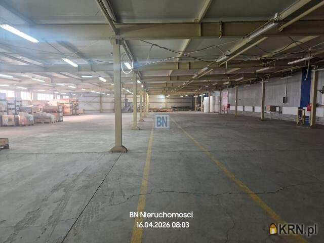 Krapkowice, ul. , , Lokal użytkowy  do wynajęcia