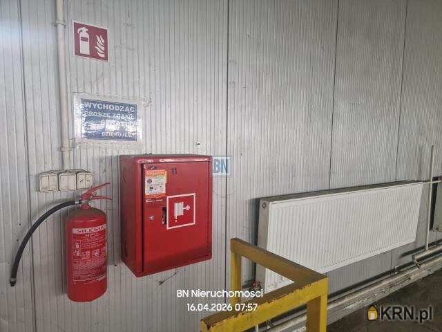 Lokal użytkowy  do wynajęcia, Krapkowice, ul. , 