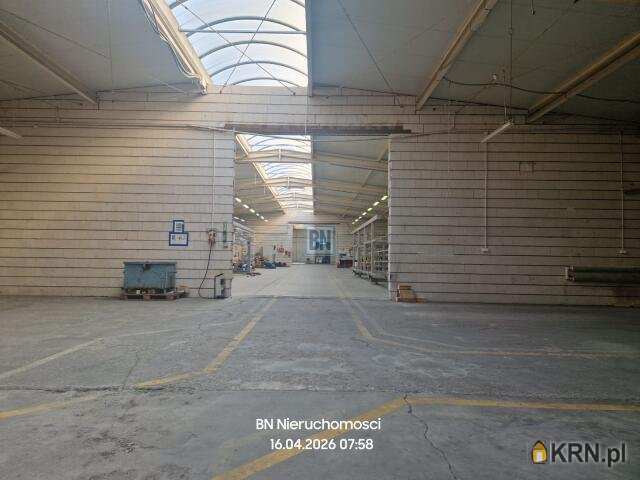 Krapkowice, ul. , , Lokal użytkowy  do wynajęcia