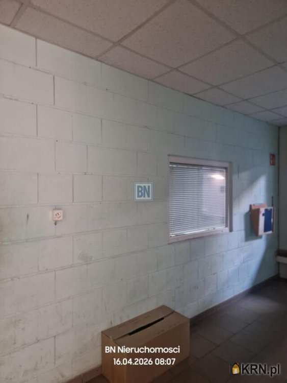 Krapkowice, ul. , Lokal użytkowy  do wynajęcia, 