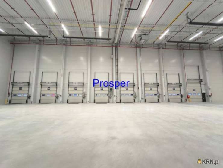 Lokal użytkowy  do wynajęcia, , Gliwice, ul. 