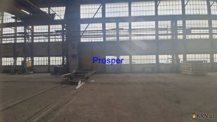 Prosper - Nieruchomości, Lokal użytkowy  na sprzedaż, Katowice, ul. 