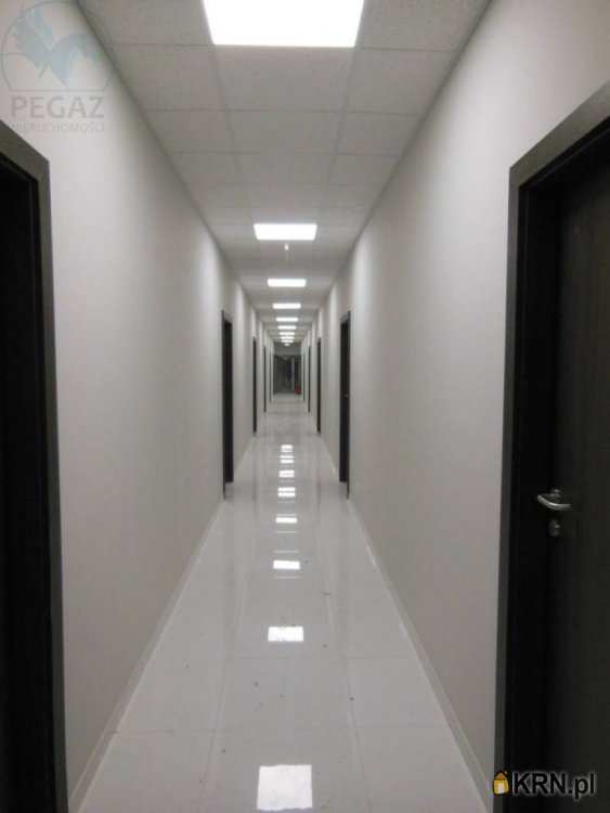 Poznań, Nowe Miasto, ul. św. Michała, Lokal użytkowy  do wynajęcia, 