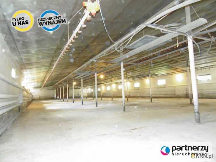 Lokal użytkowy  do wynajęcia, Chwaszczyno, ul. Gdyńska, 