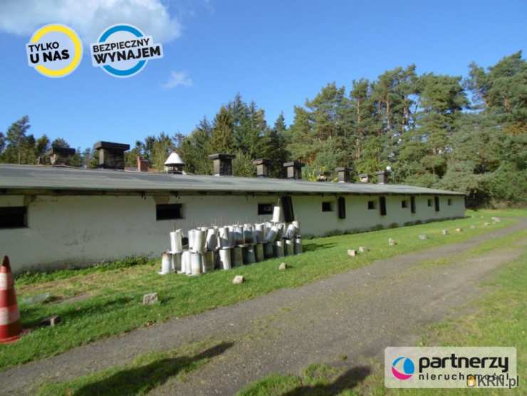 Lokal użytkowy  do wynajęcia, , Chwaszczyno, ul. Gdyńska