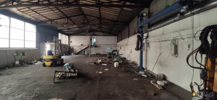 Lokal użytkowy  do wynajęcia, Rybnik, ul. , 7 pokojowe