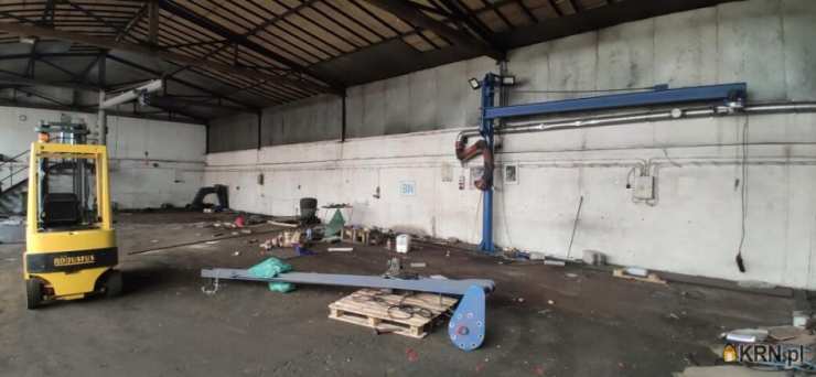 Rybnik, ul. , 7 pokojowe, Lokal użytkowy  do wynajęcia