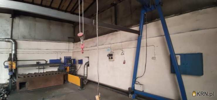 7 pokojowe, Rybnik, ul. , Lokal użytkowy  do wynajęcia