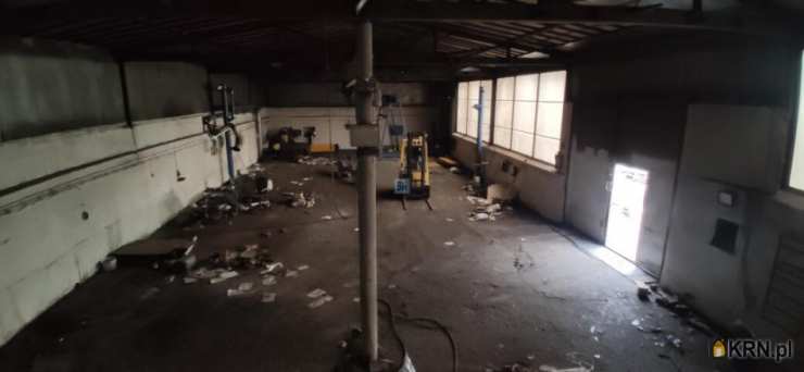 Rybnik, ul. , Lokal użytkowy  do wynajęcia, 7 pokojowe