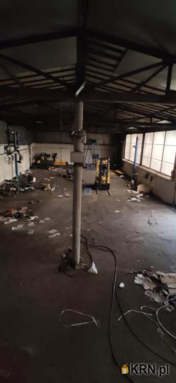 Rybnik, ul. , 7 pokojowe, Lokal użytkowy  do wynajęcia