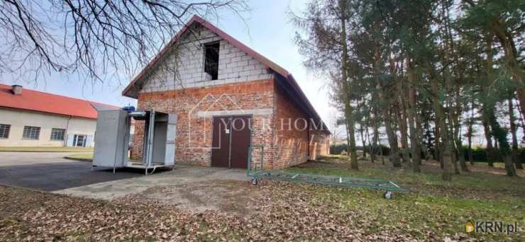 Lokal użytkowy  do wynajęcia, , Zajączków, ul. 