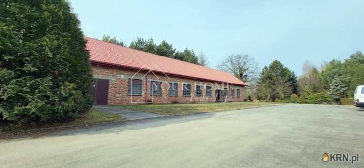 Lokal użytkowy  do wynajęcia, Zajączków, ul. , 