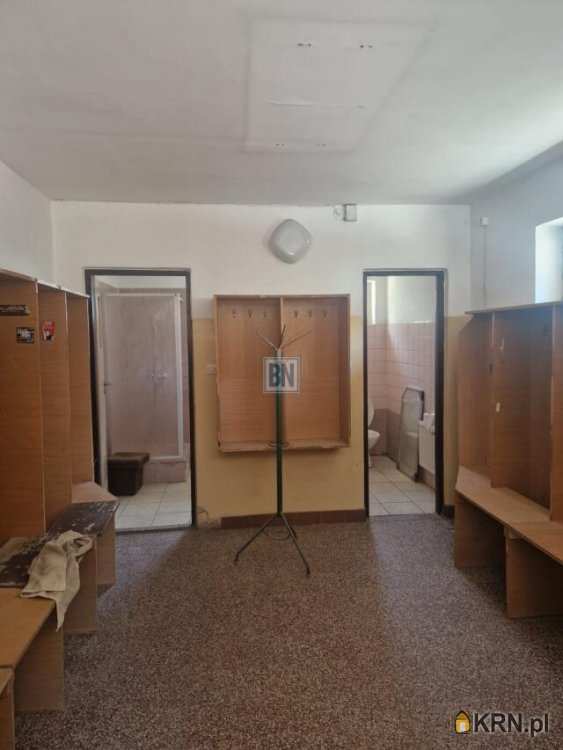 Lokal użytkowy  do wynajęcia, Żory, ul. , 