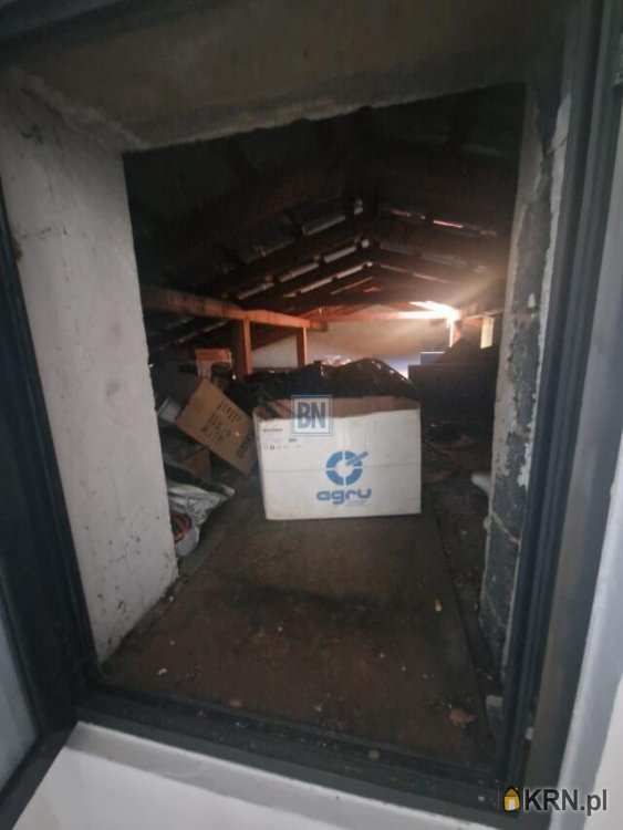 Żory, ul. , Lokal użytkowy  do wynajęcia, 