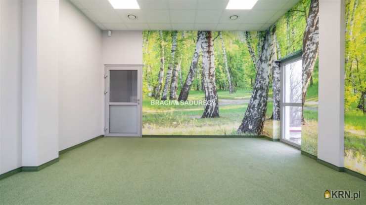 14 pokojowe, Lokal użytkowy  do wynajęcia, Kraków, Dębniki/Zakrzówek, ul. J. Brożka