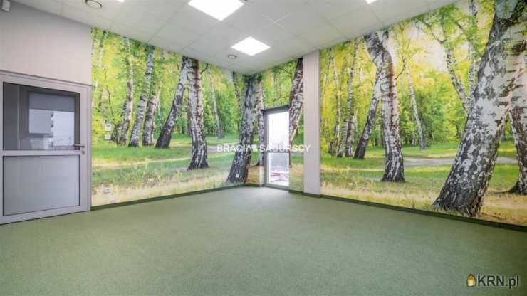 14 pokojowe, Kraków, Dębniki/Zakrzówek, ul. J. Brożka, Lokal użytkowy  do wynajęcia