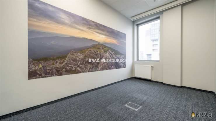 Kraków, Dębniki/Zakrzówek, ul. J. Brożka, 14 pokojowe, Lokal użytkowy  do wynajęcia