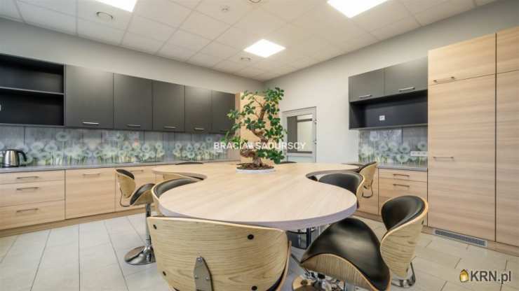 Kraków, Dębniki/Zakrzówek, ul. J. Brożka, 14 pokojowe, Lokal użytkowy  do wynajęcia