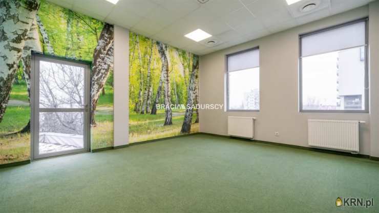 Kraków, Dębniki/Zakrzówek, ul. J. Brożka, 14 pokojowe, Lokal użytkowy  do wynajęcia