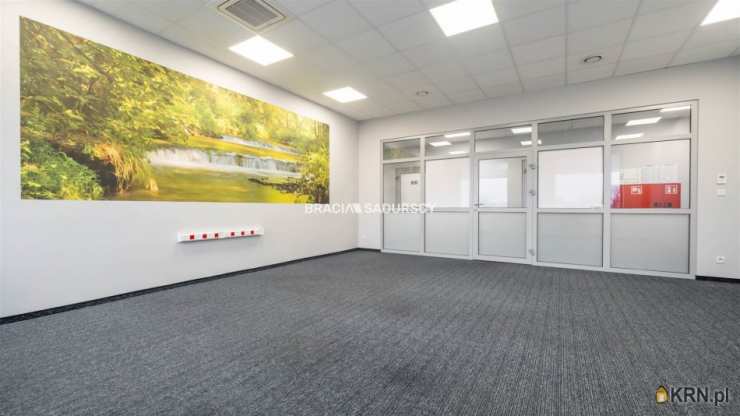 Kraków, Dębniki/Zakrzówek, ul. J. Brożka, 14 pokojowe, Lokal użytkowy  do wynajęcia