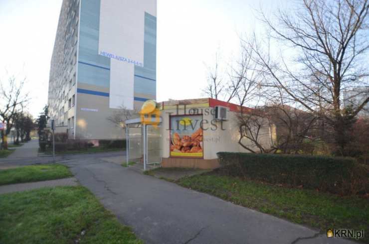 Lokal użytkowy  do wynajęcia, , Legnica, ul. 