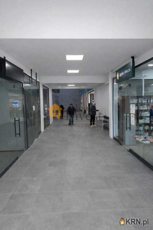 Legnica, ul. , Lokal użytkowy  do wynajęcia, 