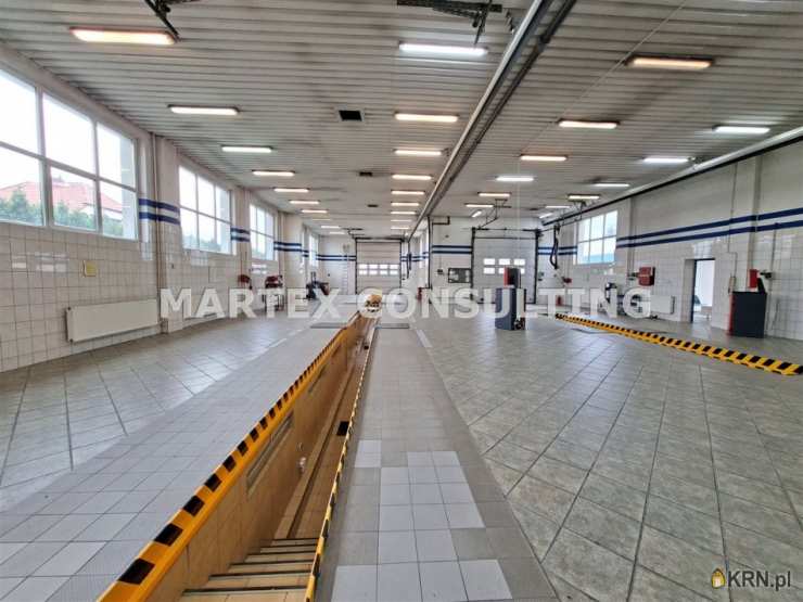 Wodzisław Śląski, ul. , Lokal użytkowy  do wynajęcia, 